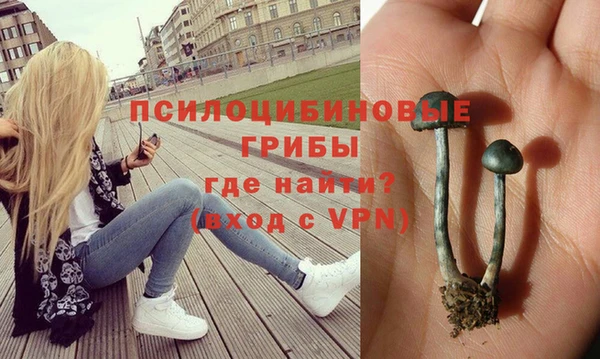 бошки Богданович